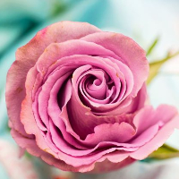 Jorunn Karoline Johansen